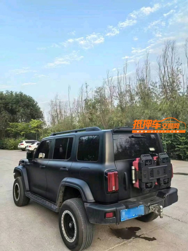晉城23年長城汽車坦克3002