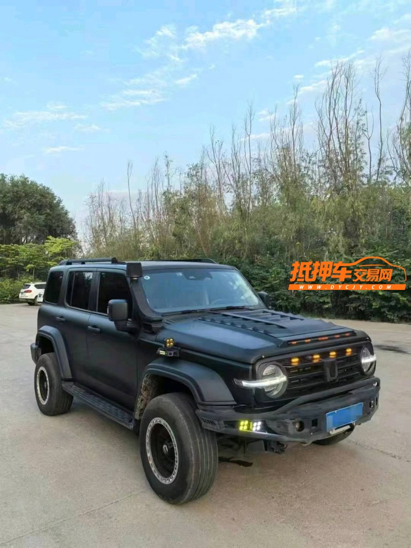 晉城23年長城汽車坦克3004
