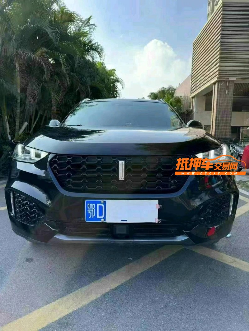 佛山19年长城汽车WEY VV61