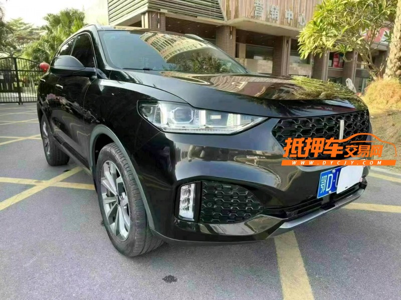 佛山19年长城汽车WEY VV63