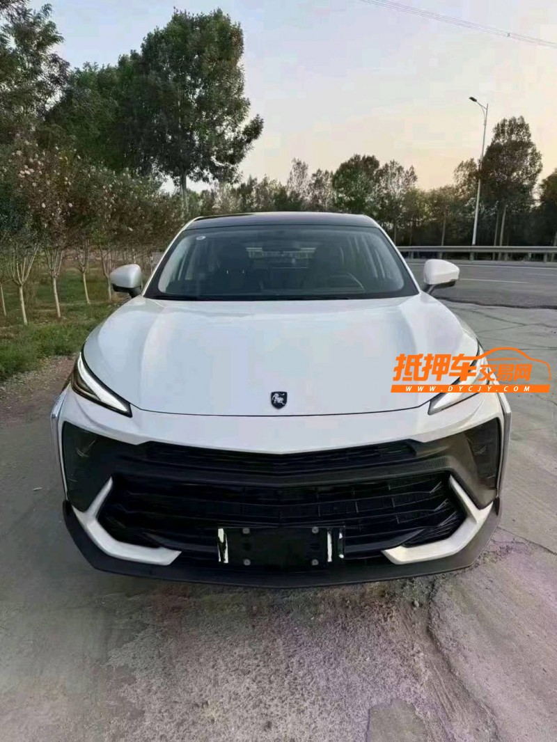 枣庄24年东风T51