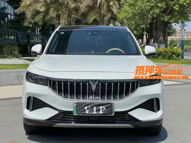 東莞22年嵐圖汽車FREE1