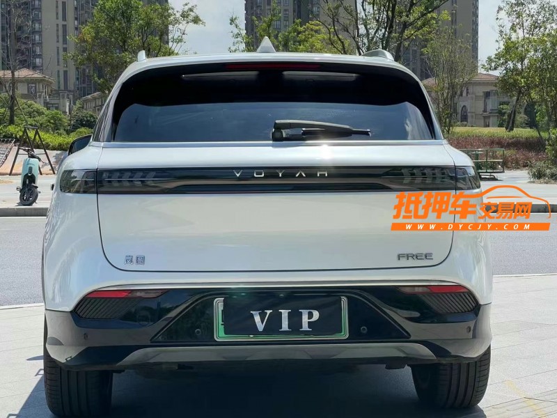 東莞22年嵐圖汽車FREE9