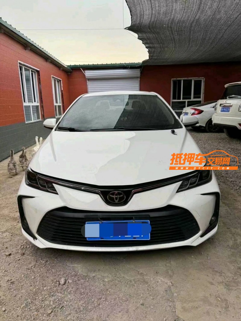 济南19年丰田卡罗拉1