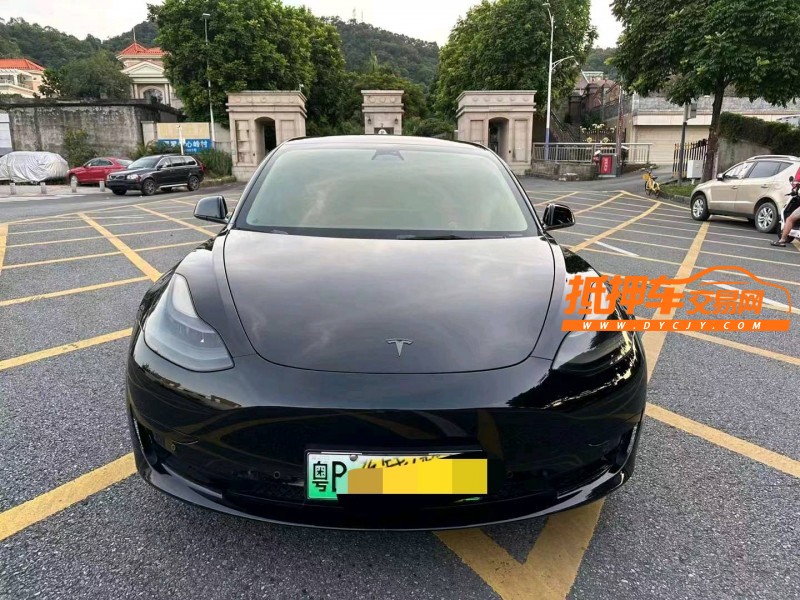 廣州22年特斯拉MODEL 31