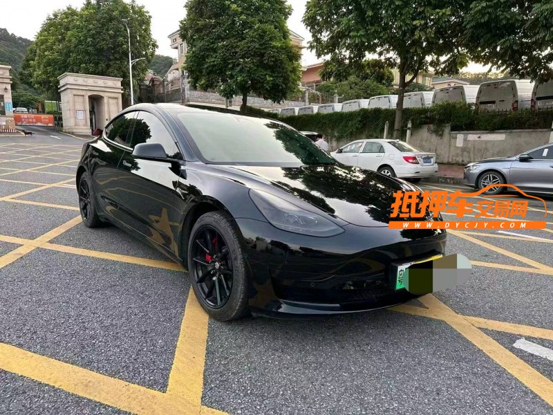 廣州22年特斯拉MODEL 33