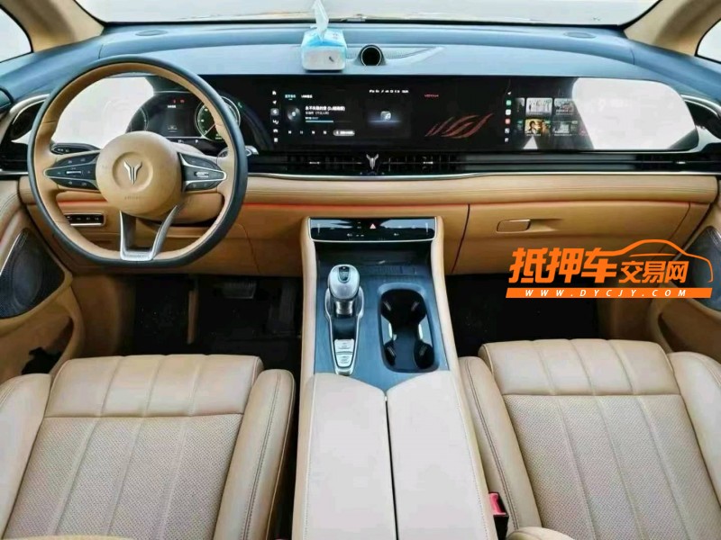保定24年嵐圖汽車夢想家5