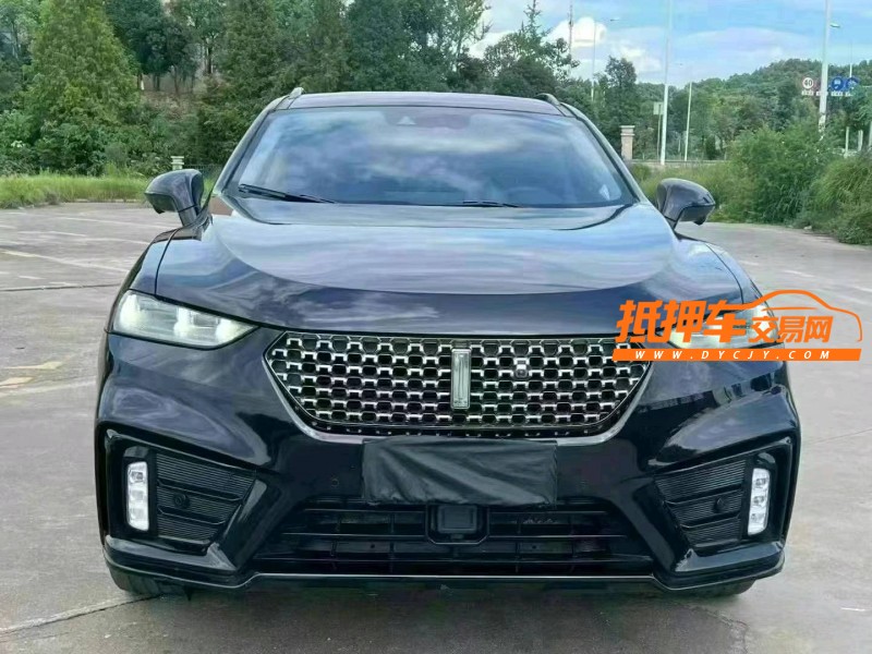 張家界20年長城汽車WEY VV71