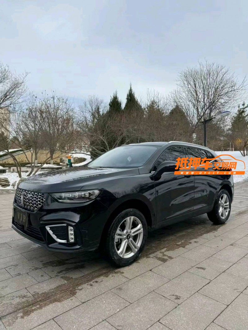 邢台20年长城汽车WEY VV52