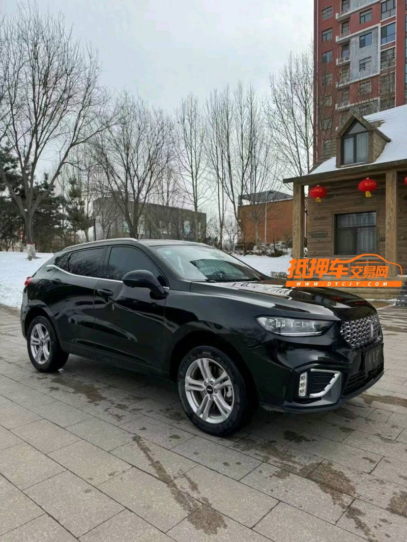 邢台20年长城汽车WEY VV53