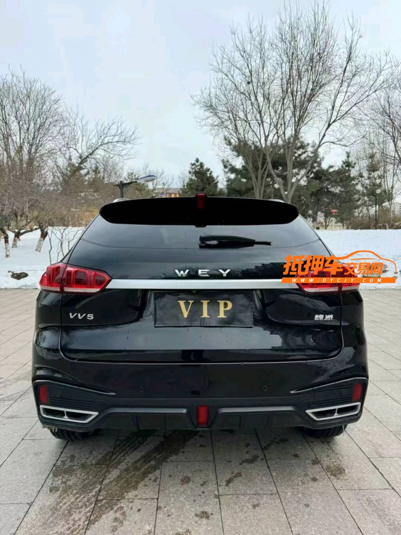 邢台20年长城汽车WEY VV55