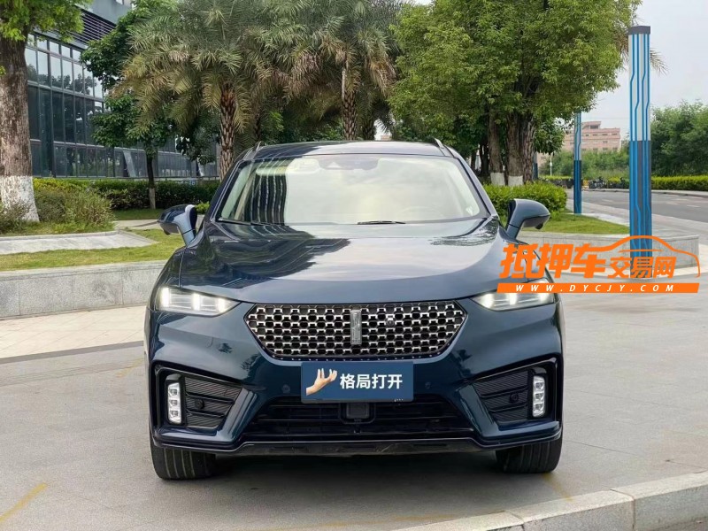 东莞20年长城汽车WEY VV71