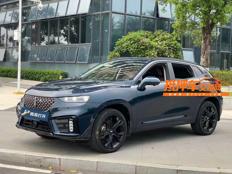 东莞20年长城汽车WEY VV73