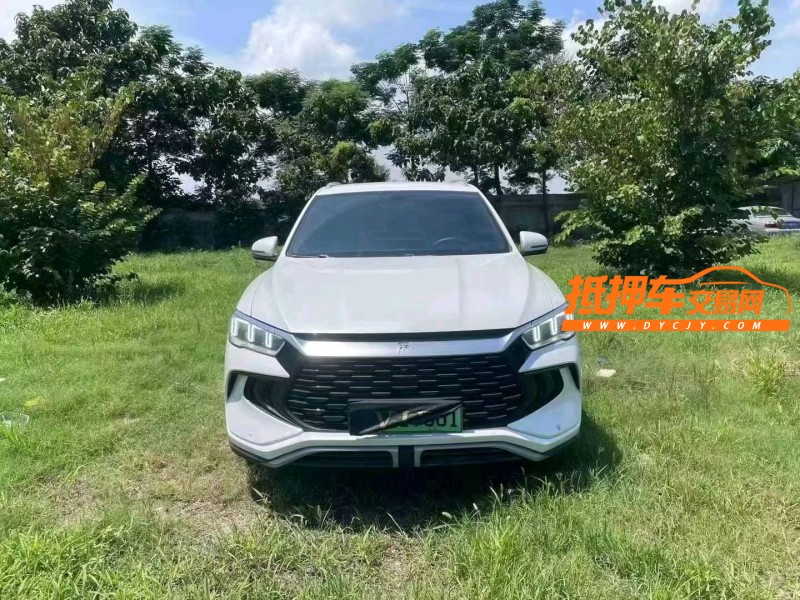 菏泽24年比亚迪宋1