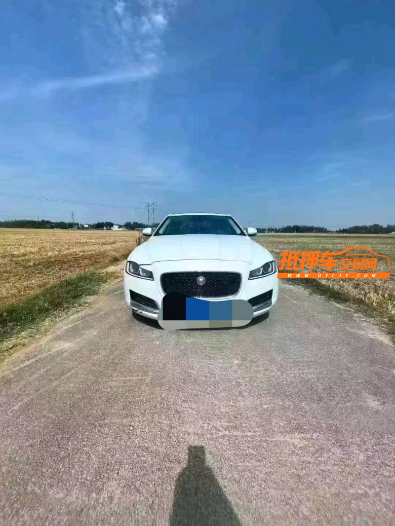 菏泽17年捷豹XFL1