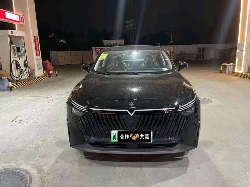 邢臺24年啟辰大V1