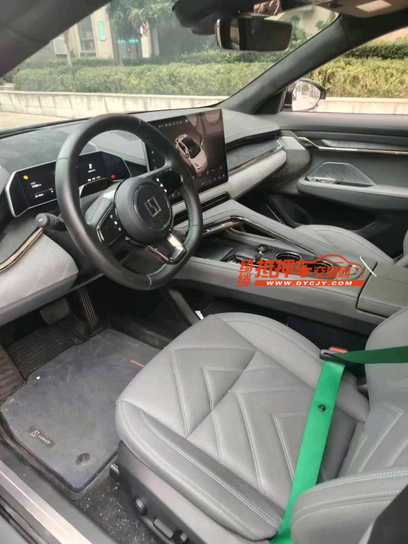 南通23年極氪汽車0013