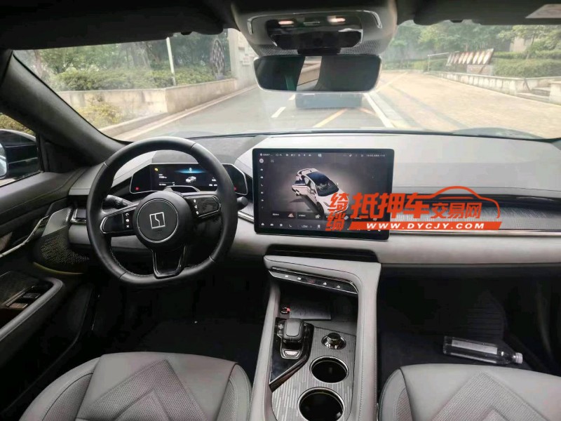 南通23年極氪汽車0016
