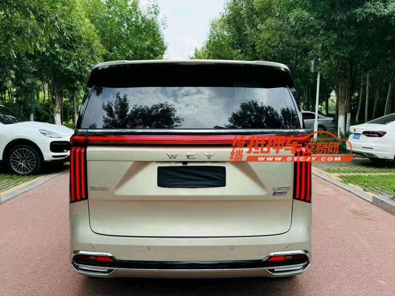 潍坊24年长城汽车魏牌高山2