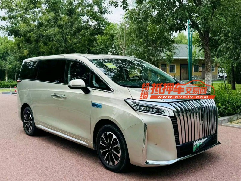 潍坊24年长城汽车魏牌高山5