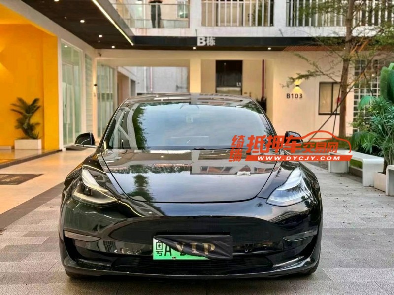 佛山20年特斯拉MODEL 31