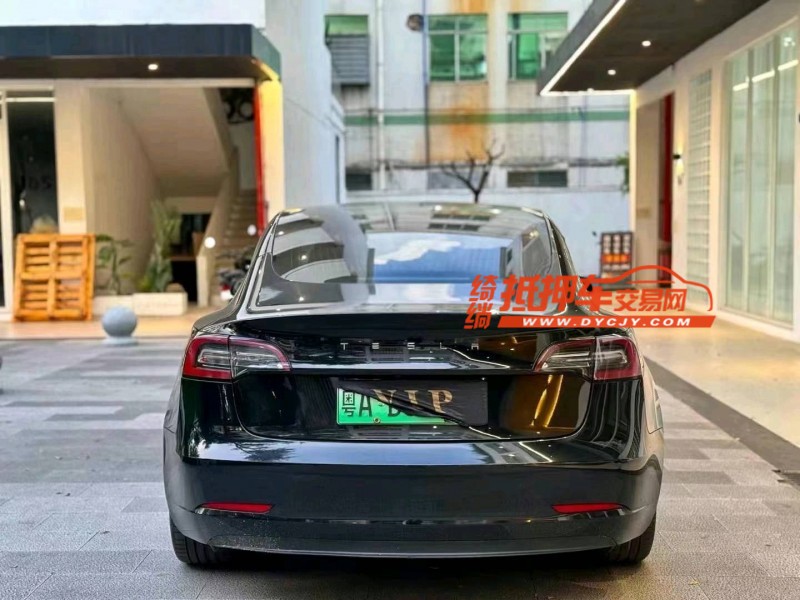 佛山20年特斯拉MODEL 33