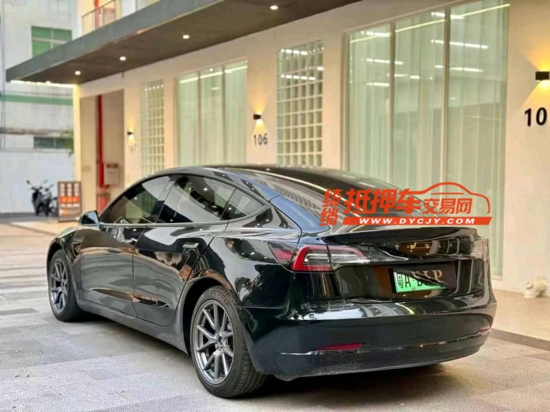 佛山20年特斯拉MODEL 34