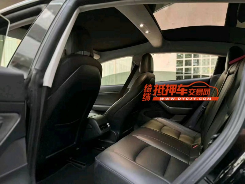 佛山20年特斯拉MODEL 36