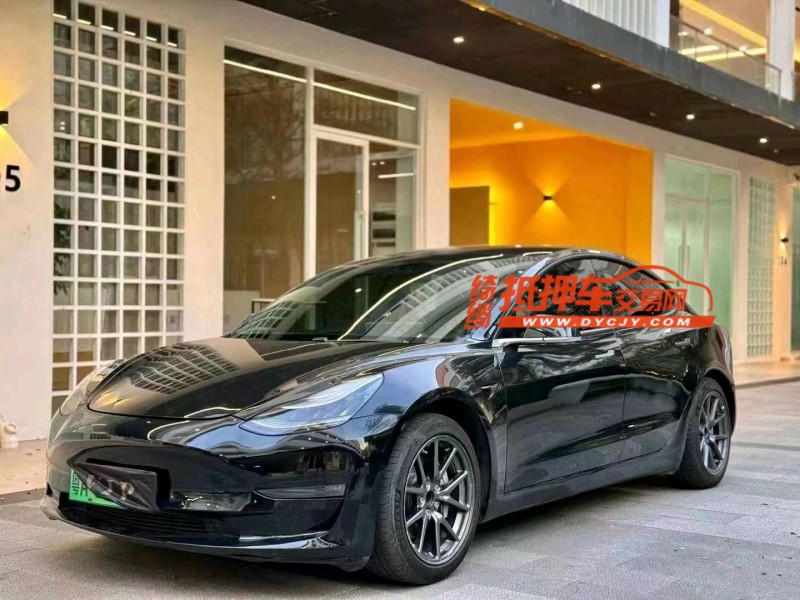 佛山20年特斯拉MODEL 37