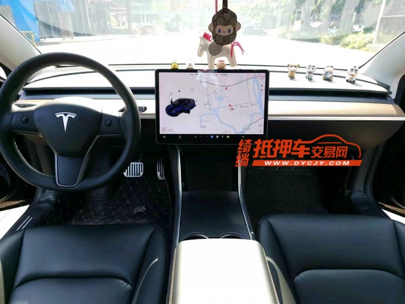 韶關20年特斯拉MODEL 33