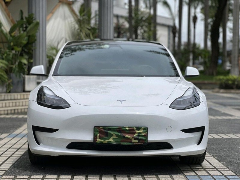 東莞23年特斯拉MODEL 31