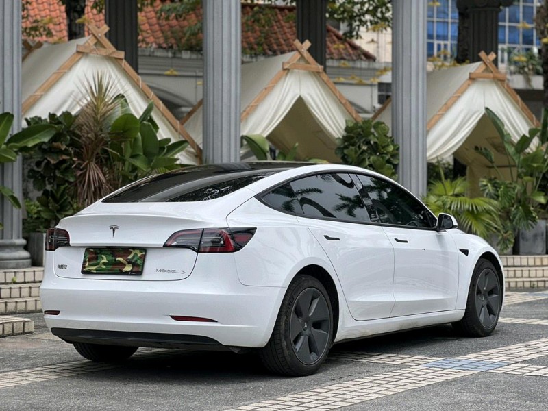 東莞23年特斯拉MODEL 38