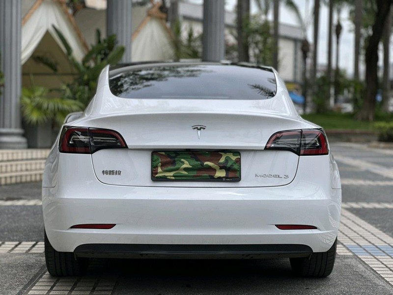 東莞23年特斯拉MODEL 39