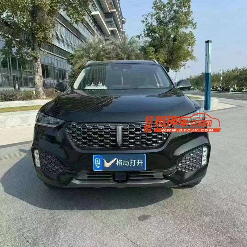 东莞20年长城汽车WEY VV61