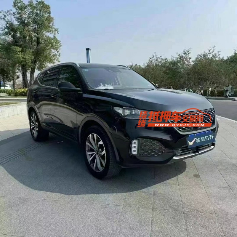 东莞20年长城汽车WEY VV63