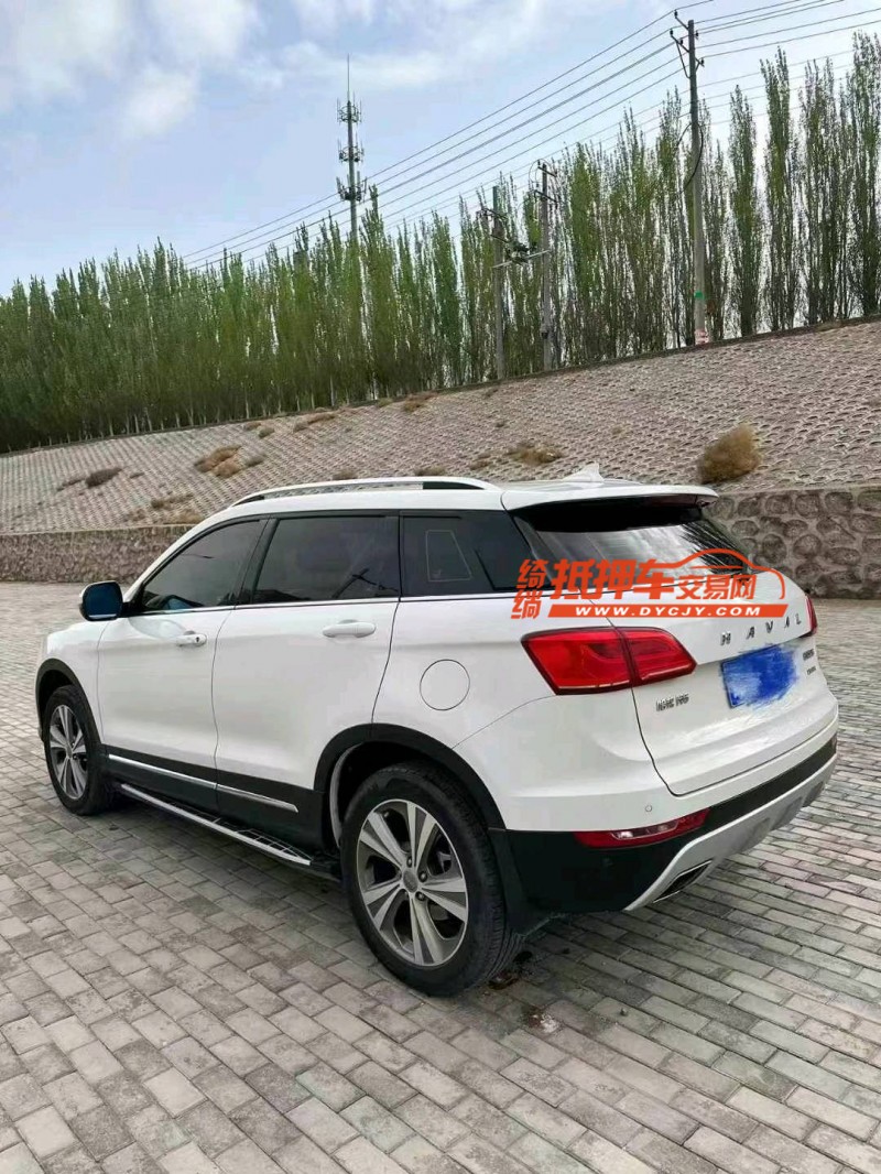 吳忠20年哈弗H64