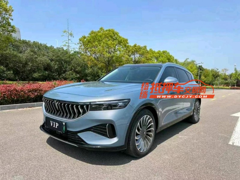 南通22年嵐圖汽車FREE2
