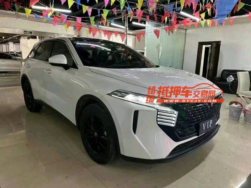 銅仁22年啟辰大V2