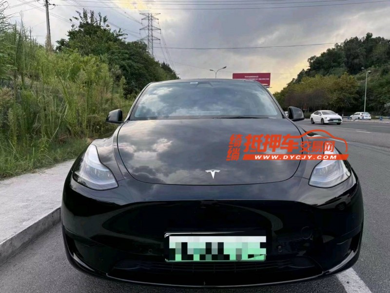重慶22年特斯拉MODEL Y1