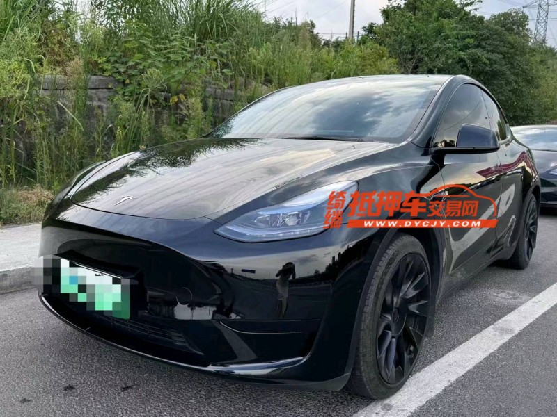 重慶22年特斯拉MODEL Y2