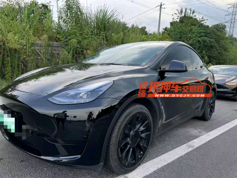 重慶22年特斯拉MODEL Y5