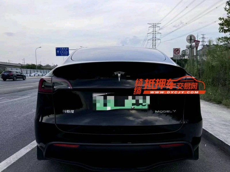 重慶22年特斯拉MODEL Y8