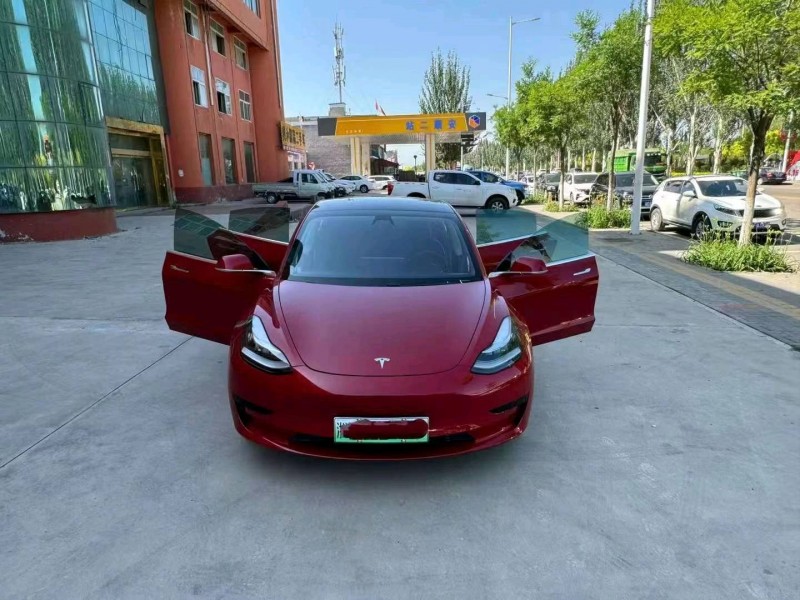 大同20年特斯拉MODEL 38