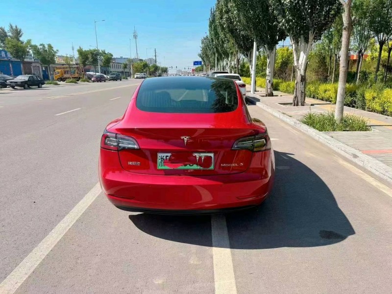 大同20年特斯拉MODEL 39