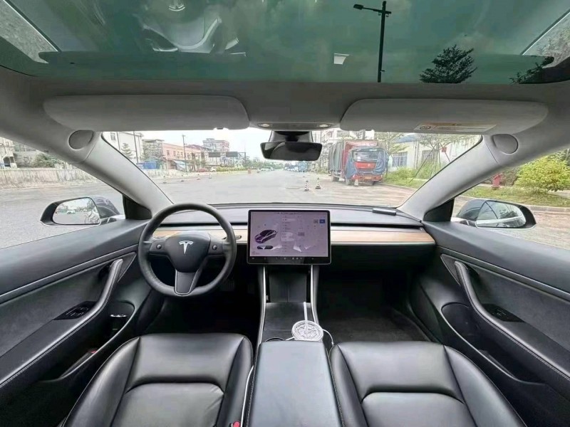 佛山20年特斯拉MODEL 38