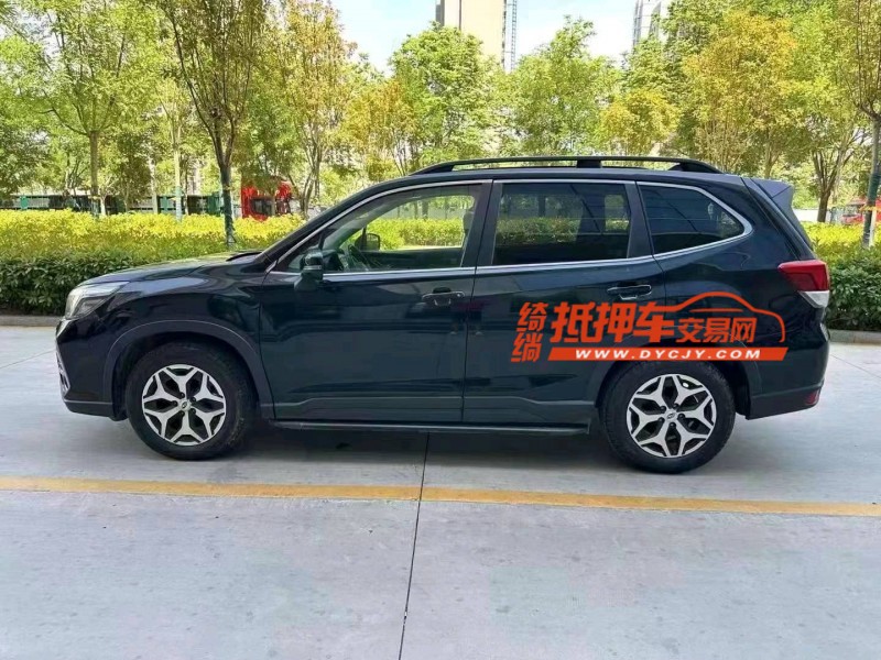 濟寧19年斯巴魯森林人6