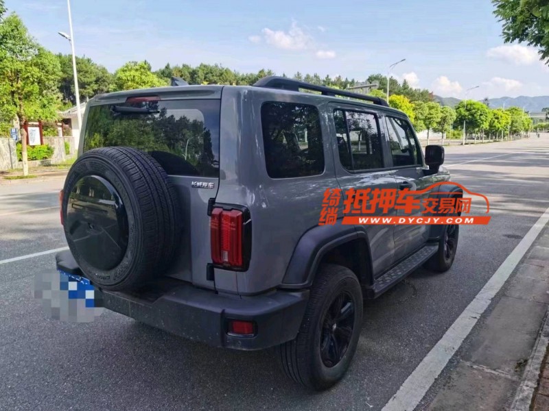 广州23年长城汽车坦克3006