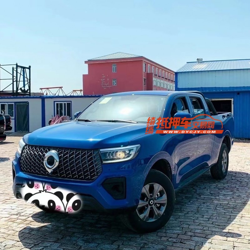 济南24年长城汽车炮 皮卡1