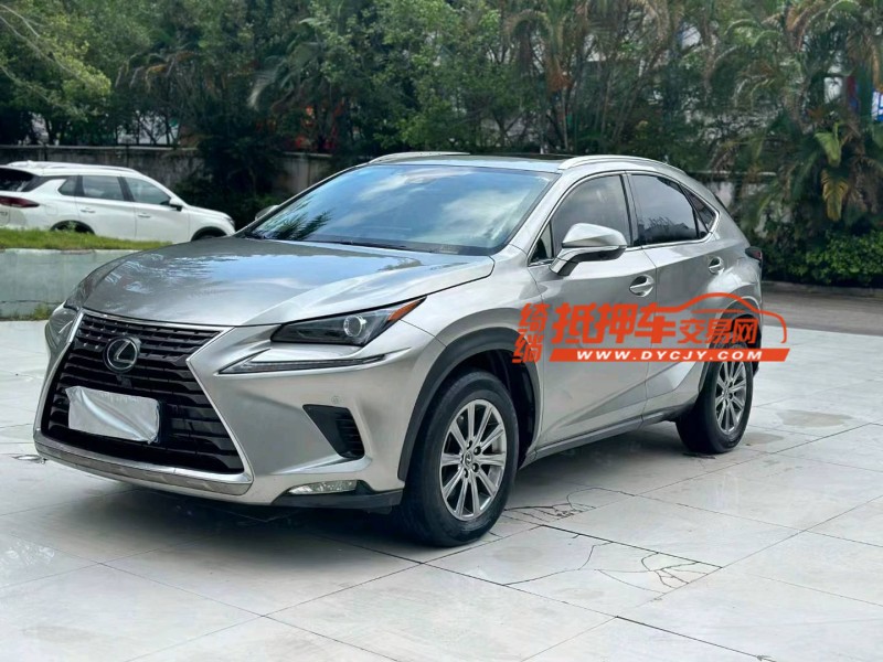 广州19年雷克萨斯NX2