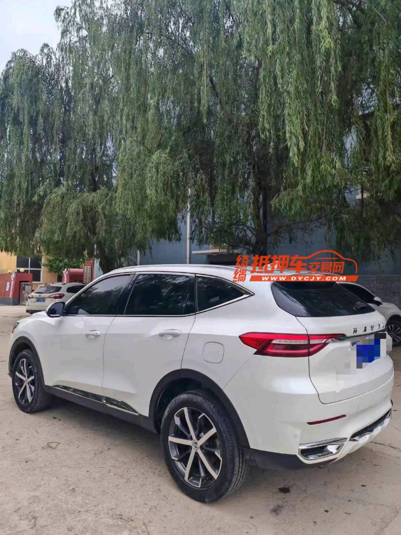 保定20年哈弗F77